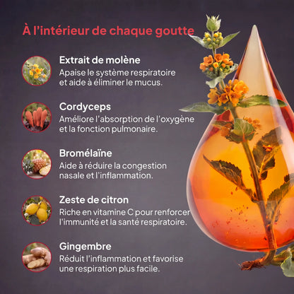 Gouttes de Molène Elvon